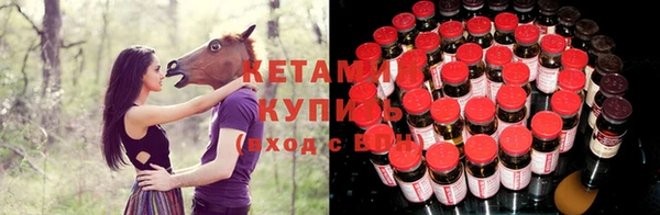соль ск Абаза