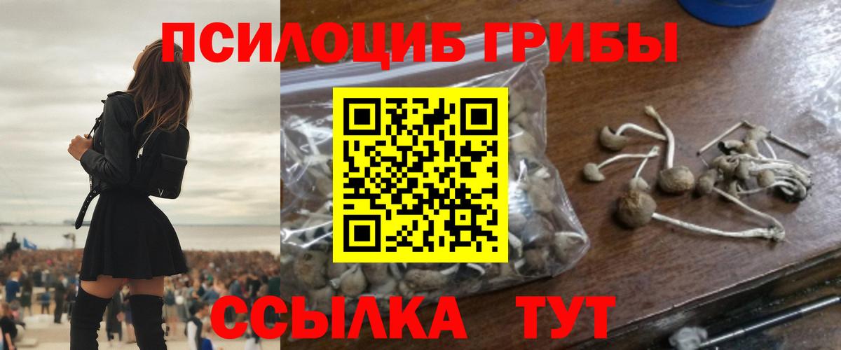 Псилоцибиновые грибы прущие грибы Учалы