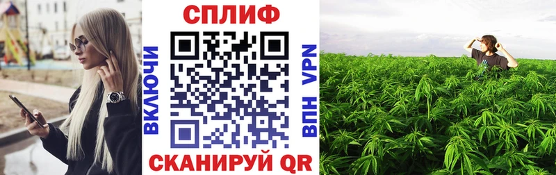 дарнет шоп  Учалы  Бошки марихуана Amnesia 